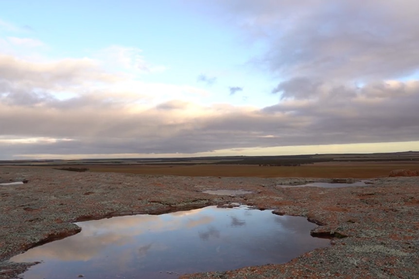 A water hole on top of a large granite rock