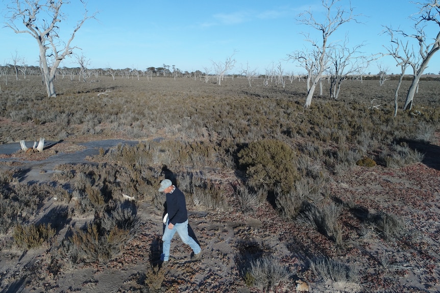 David walking through his property which is salt affected