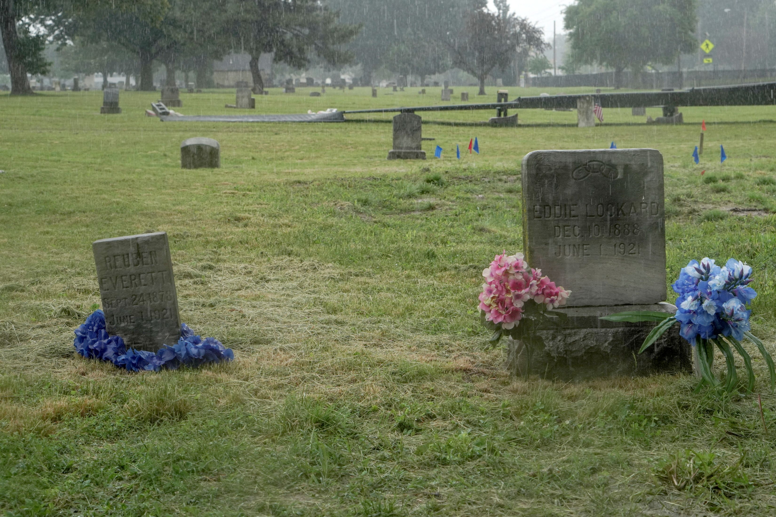 Hierba verde con una lápida en un cementerio 