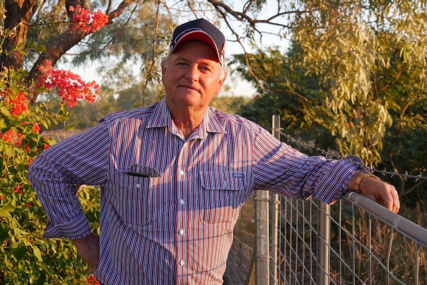 A older man rests his left arm on a fence in the fading afternoon sun with aeucalypt tree and poinciana flowers in background