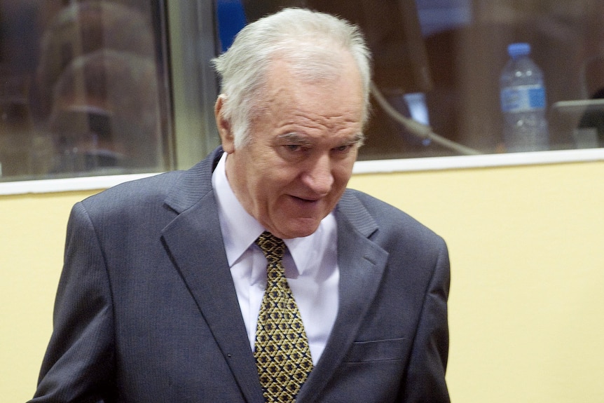 Ratko Mladic Refuses To Testify At Radovan Karadzic S Trial Calls Tribunal Satanic Abc News