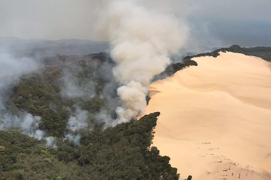 Clouds of smoke from bushfires across forest and sand blow across Fraser Island, causing a grey sky.