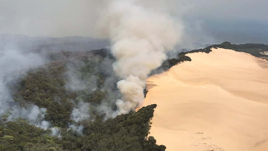 Clouds of smoke from bushfires across forest and sand blow across Fraser Island, causing a grey sky.