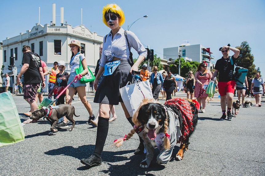 Costumed dogs and owners walk down a street past a corner hotel.