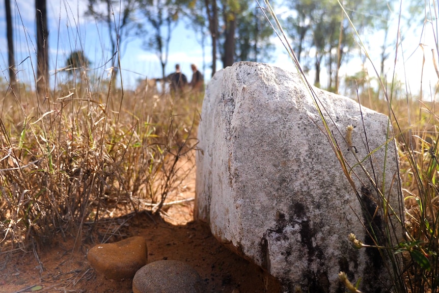 A white rock lies in the grass.