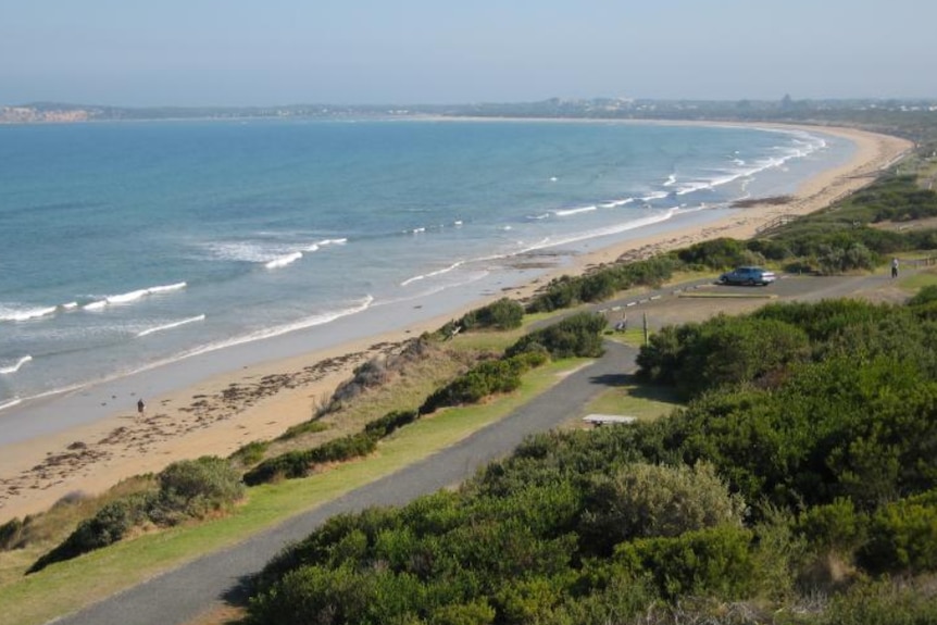 A surf beach.