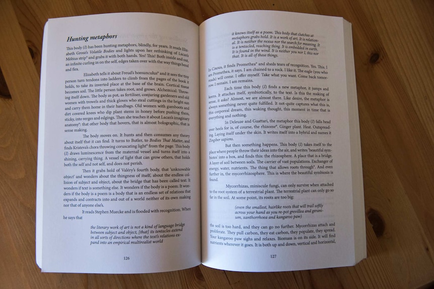 Two pages of a book which moves between prose and quotes and analysis.