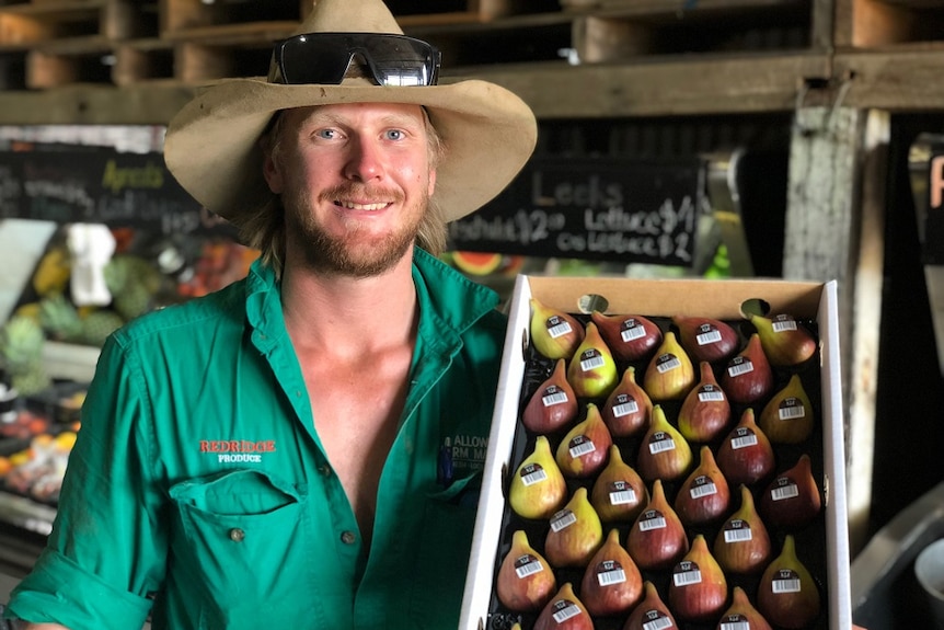 A close up of farmer Ash Emerick in a green shirt and cream hat, holding a box of figs.