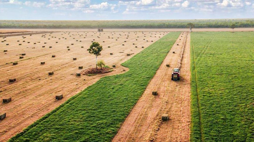 An aerial shot of hay being cut in a paddock.