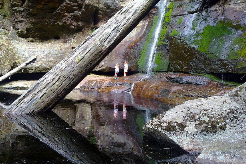 Unidentifiable children at Snug Falls