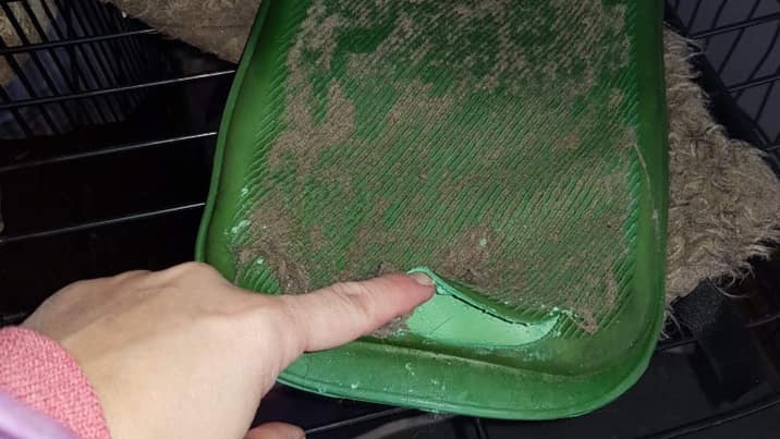 A woman points to a green rubber hot water bottle that has a large perforation at the bottom seam