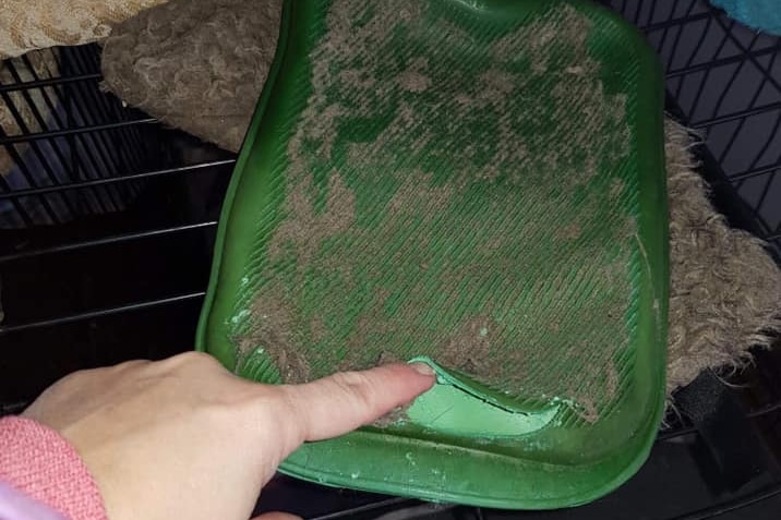 Bree Schulz said her husband  filled her hot water bottle from the kettle and within minutes it exploded.