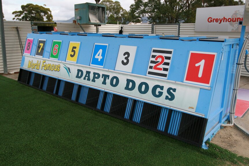 Dapto Greyhound Gates