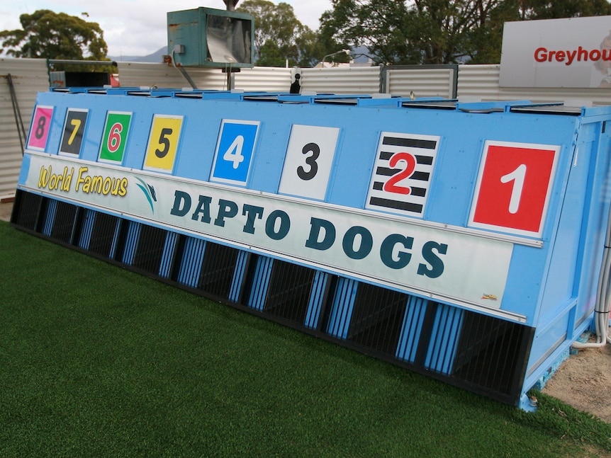 Dapto Greyhound Gates