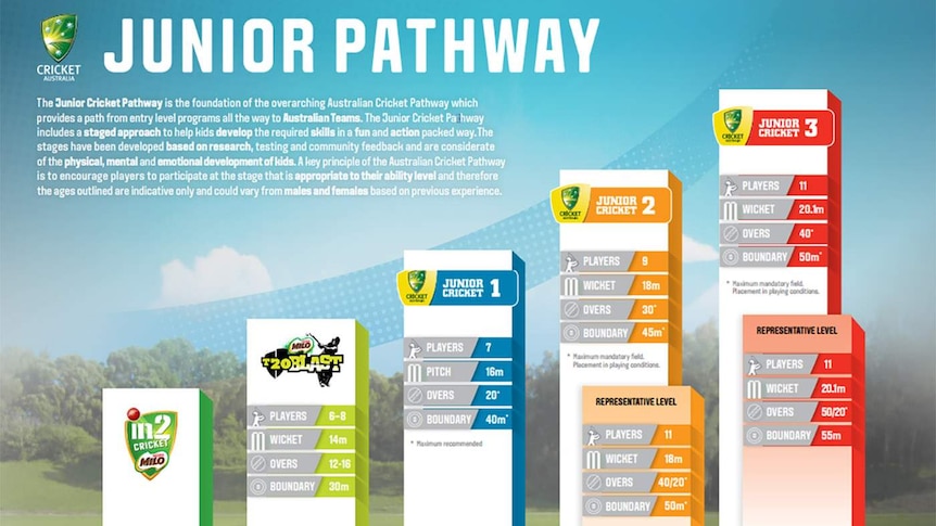 A graphic showing the multiple stages of Cricket Australia's junior program