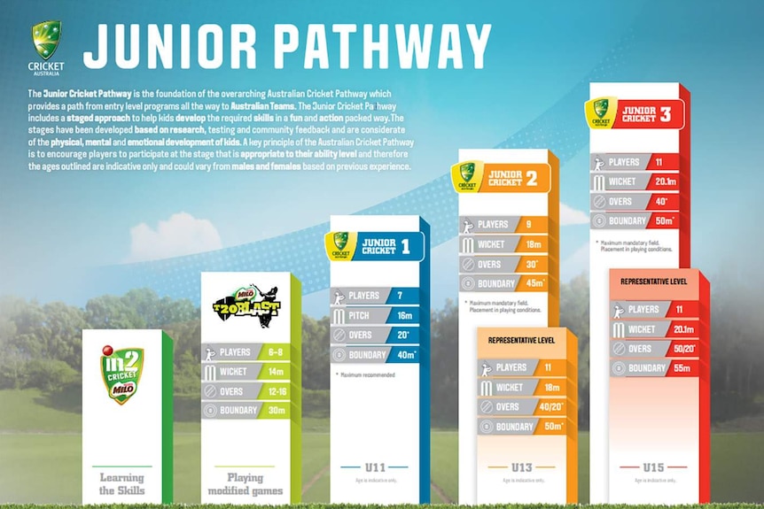 A graphic showing the multiple stages of Cricket Australia's junior program