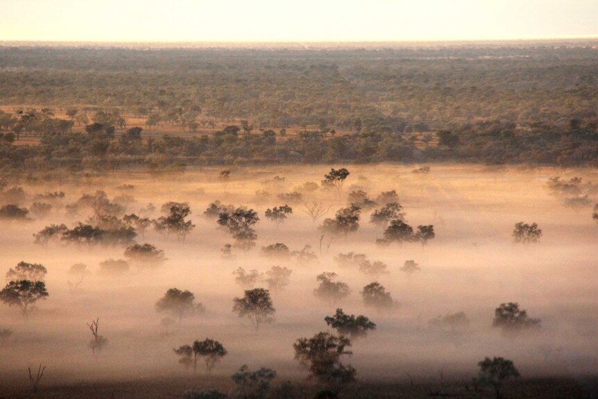 Early morning mist covers part of Widgeegoara.