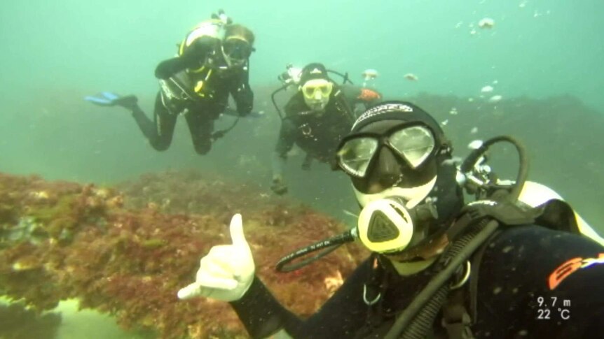 Underwater shot of scouts on a dive with Australians of the Year, Craig Challen and Richard Harris