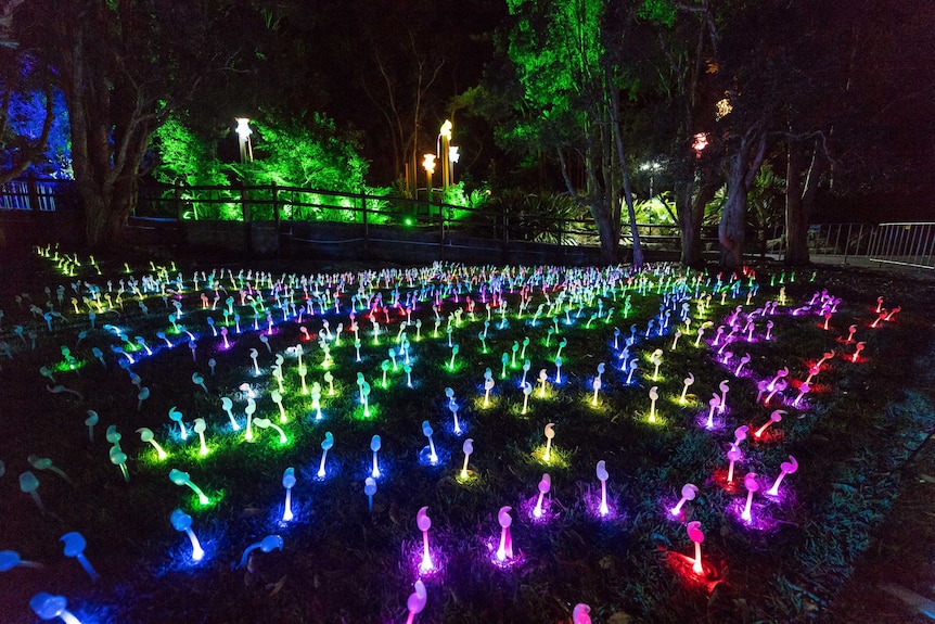 A light sculpture seen at a preview of Vivid Sydney 2017 at Taronga Zoo.