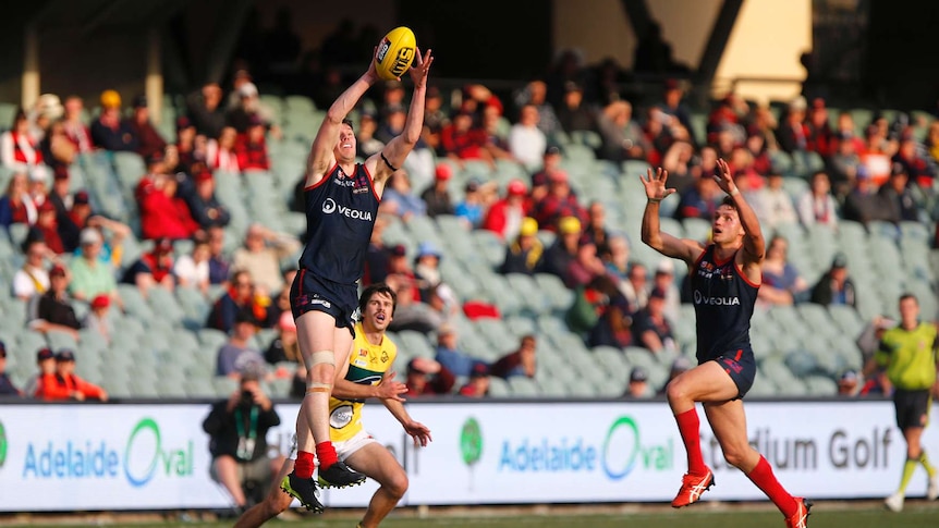 An Australian Rules footballer leaps to take mark in the South Australian National Football League.