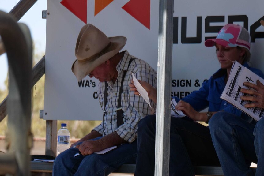 Elderly pastoralist with akubra sitting and writing at bull sale