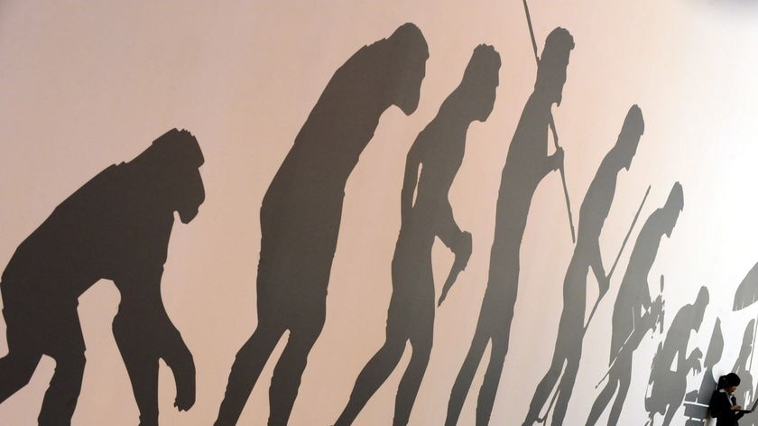 A woman stands in front of a wall depicting the man's evolution from ape to computer user