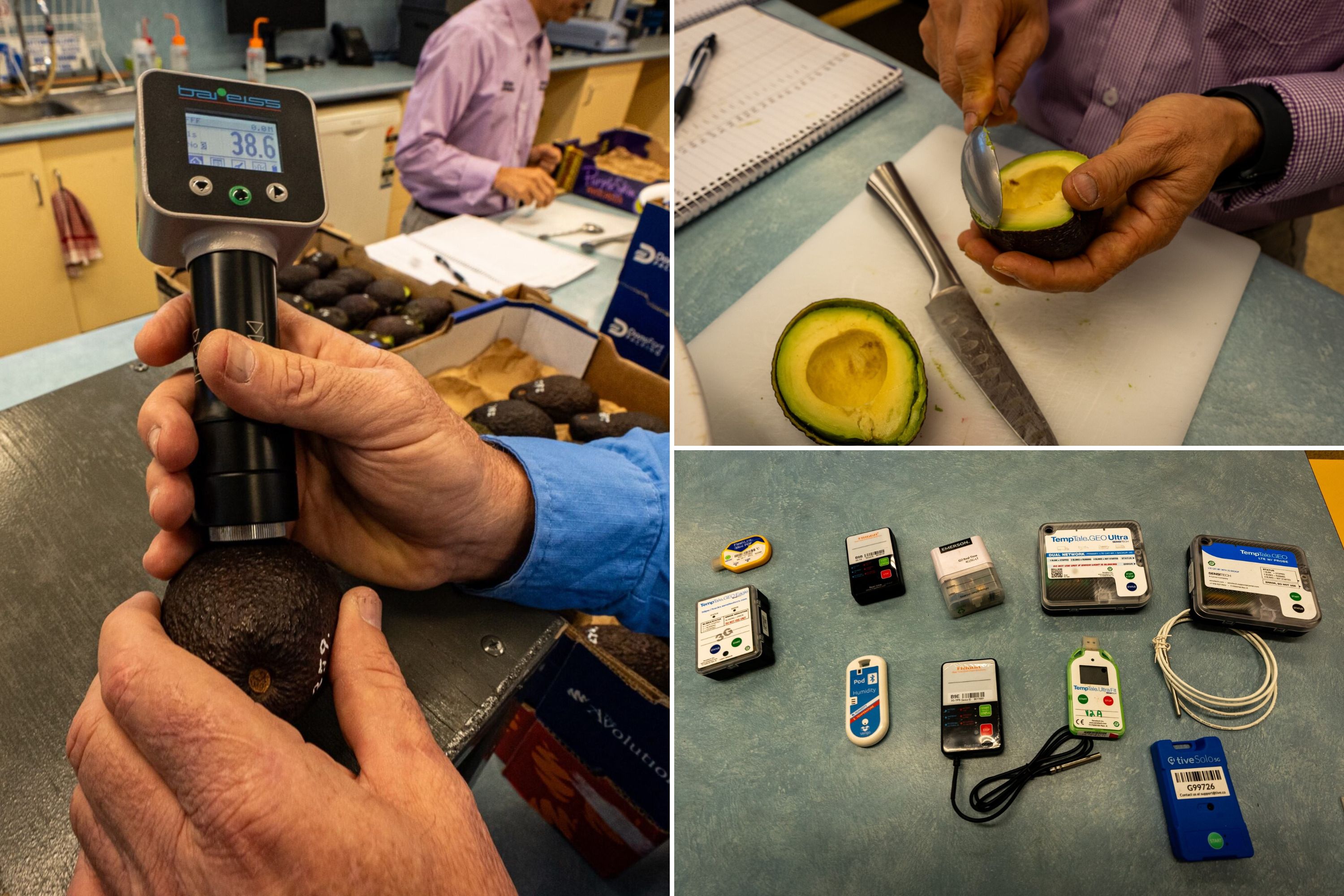 A composite image with three photos showing an avocado and scientific technology 