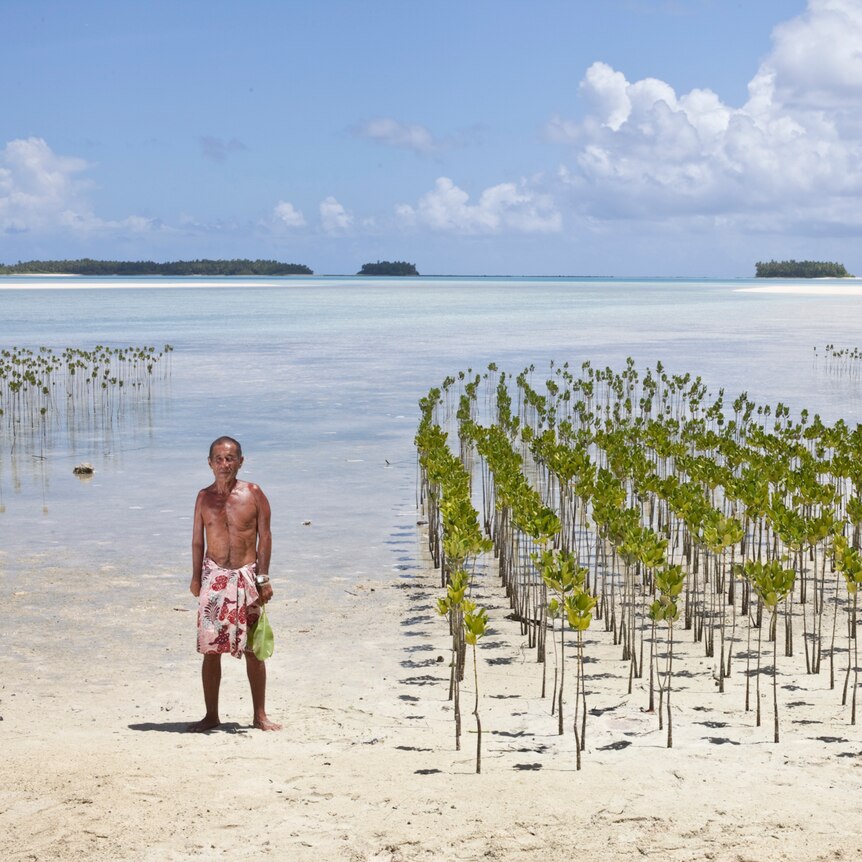 Eliakimo stands next to mangrove plantations designed to help protect the Tuvalu coastline from erosion.