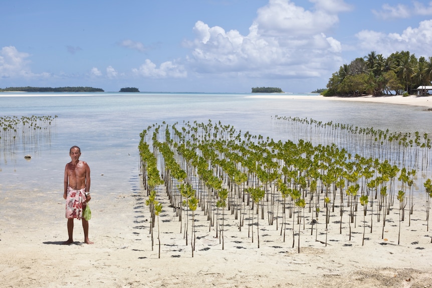 Eliakimo stands next to mangrove plantations designed to help protect the Tuvalu coastline from erosion.