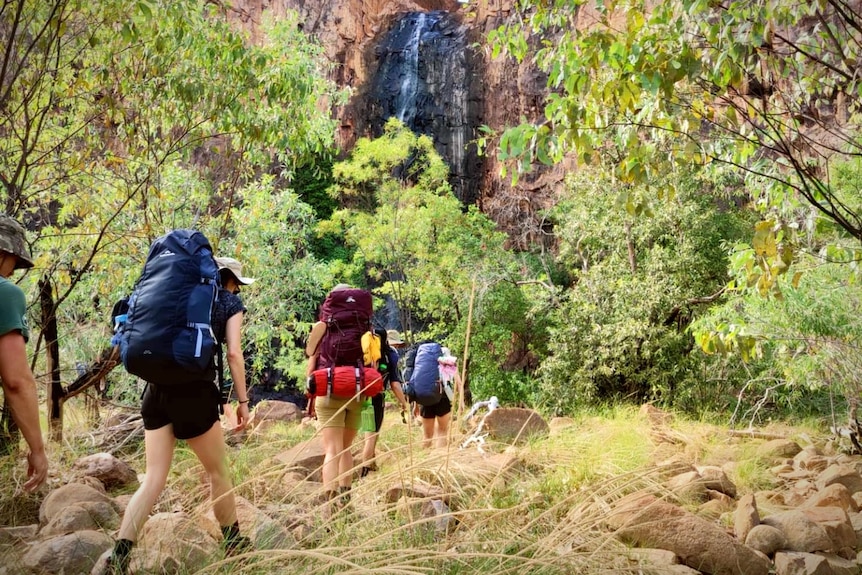 Women in hiking gear and big backpacks walk through bushland, waterfall in background. 