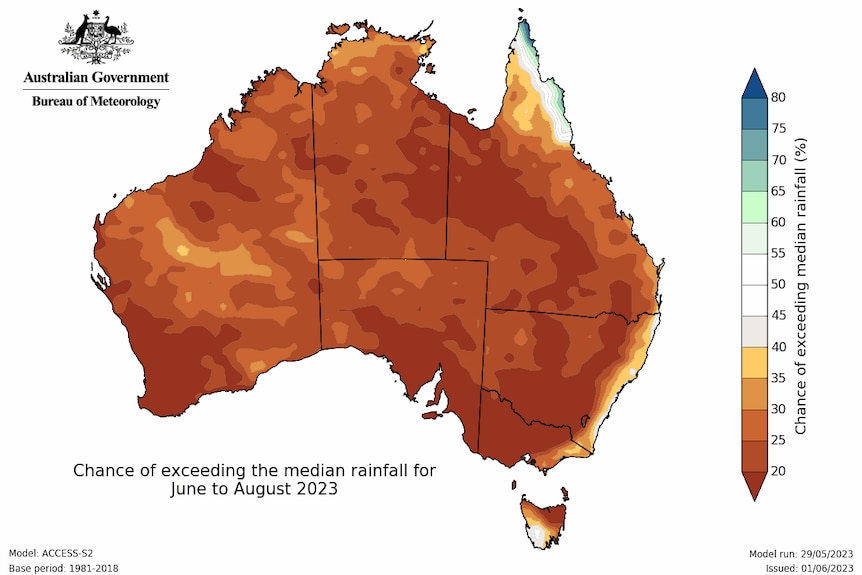A map of Australia showing predicted rain levels in different colours, which mostly shows heavy rain
