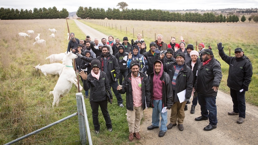 Papuan agriculturalists pose for group photo with goats