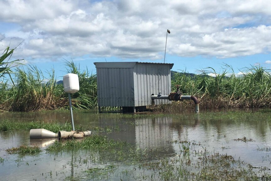 Flooding surrounds some farm infrastructure in Marian, north-west of Mackay.