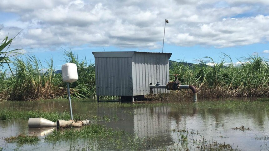 Flooding surrounds some farm infrastructure in Marian, north-west of Mackay.