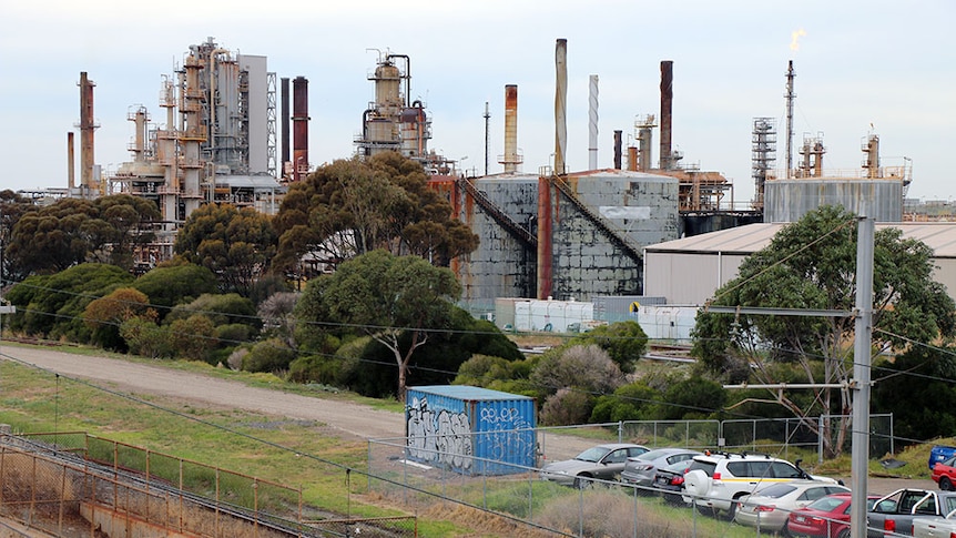 A row of trees surround the Altona Refinery in Melbourne.