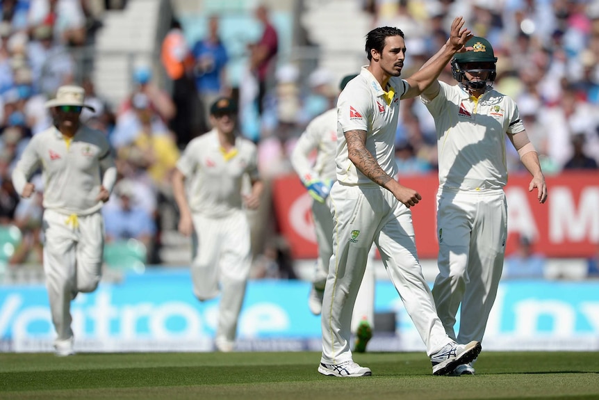 Australia's Mitchell Johnson celebrates the wicket of England's Mark Wood at The Oval.