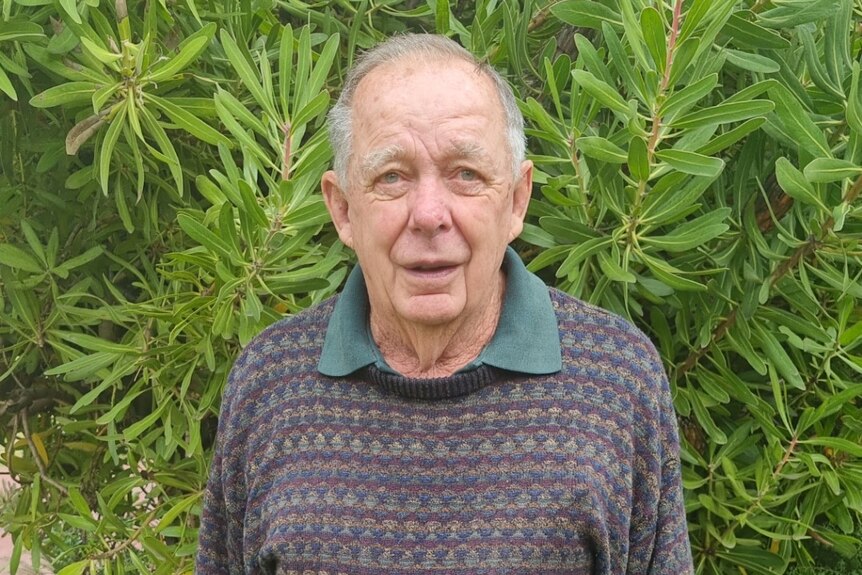an elderly man in front of a tree