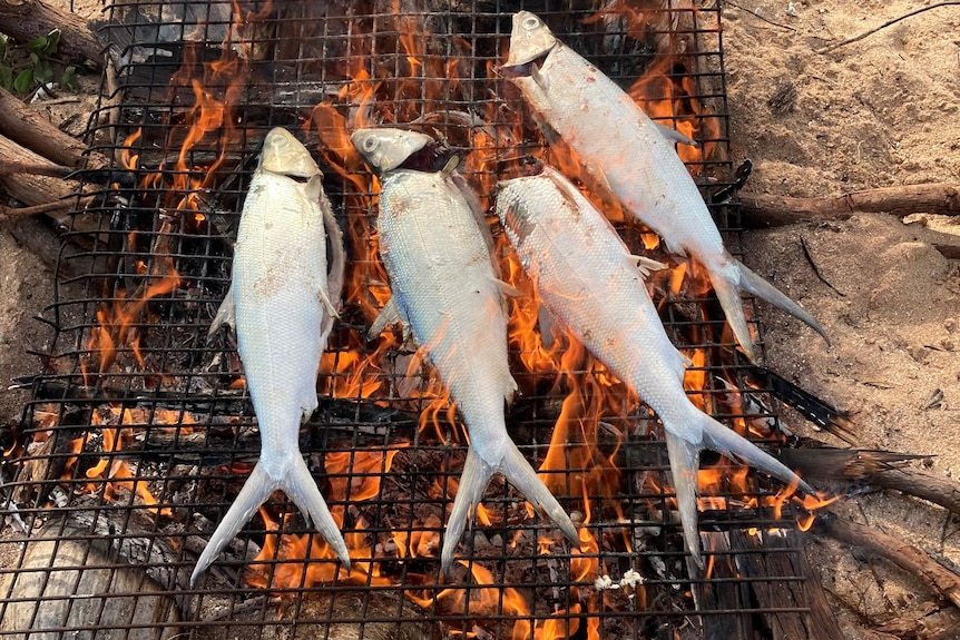 Vier Fische auf einem Feuer am Strand.