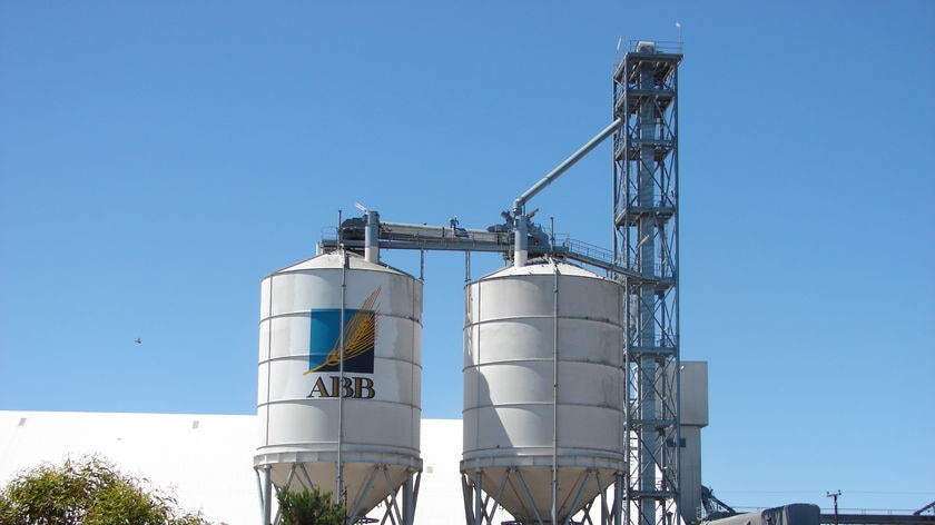 abb grain silo