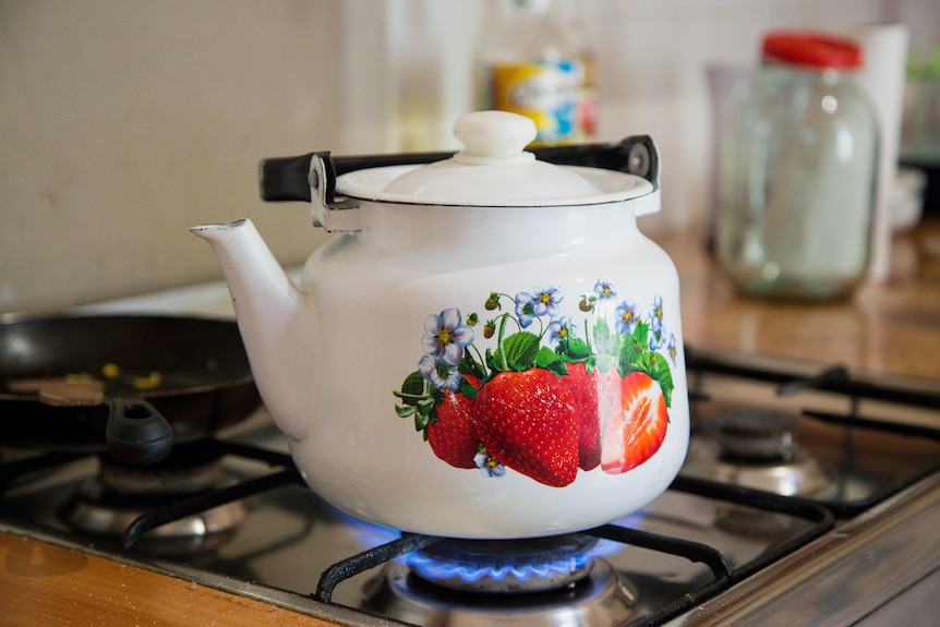 A kettle boils on a gas hotplate, the kettle has fruit and flowers on it 