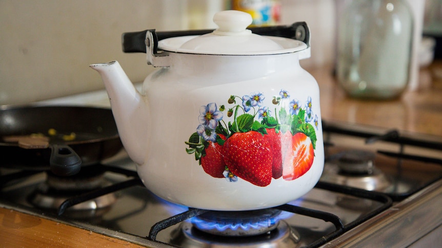 A kettle boils on a gas hotplate, the kettle has fruit and flowers on it 