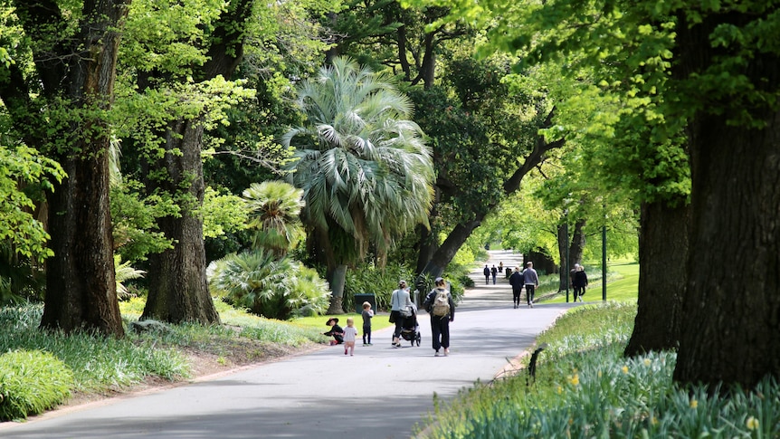 People walking and sitting in Melbourne's lush green botanic gardens