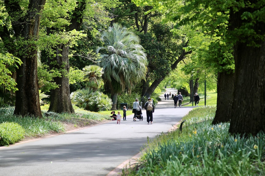People walking and sitting in Melbourne's lush green botanic gardens