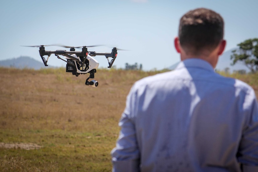 A drone being used on a Rockhampton cattle property.