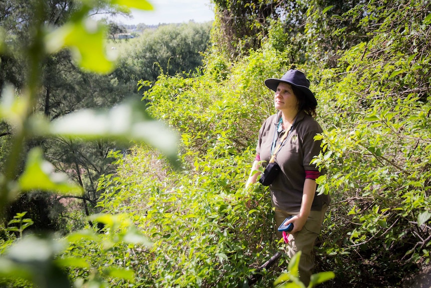 Eva Twarkowski stands in the in the bush.