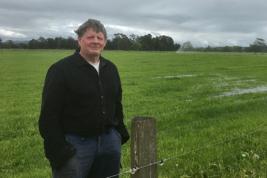 Dairy farmer stands in wet paddock