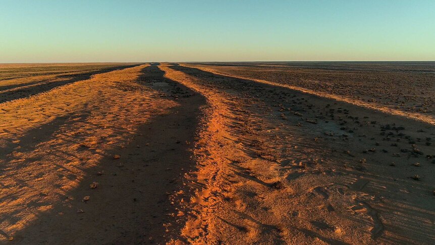 Aerial view of the Simpson desert