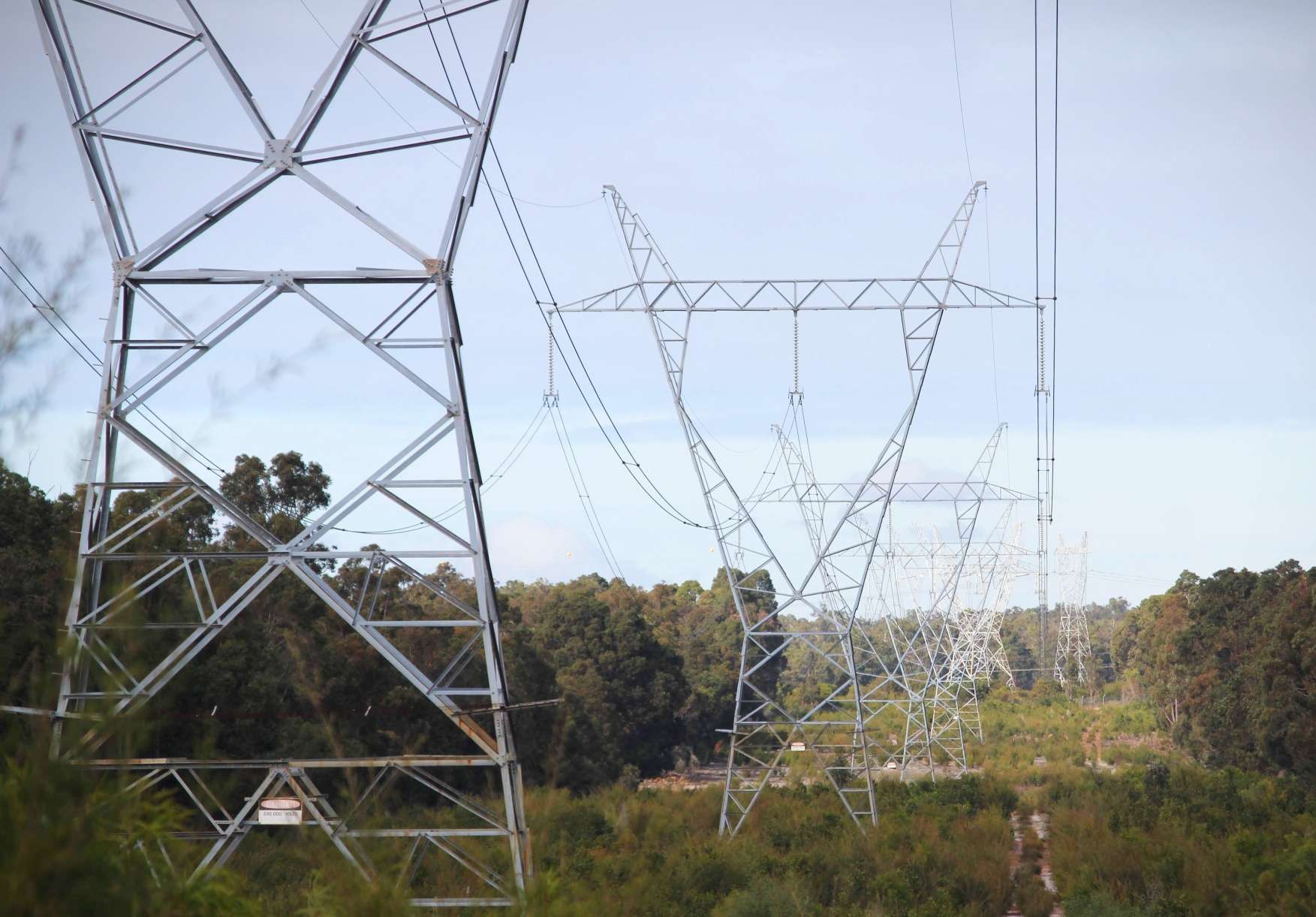 Powerlines built through a clear forest