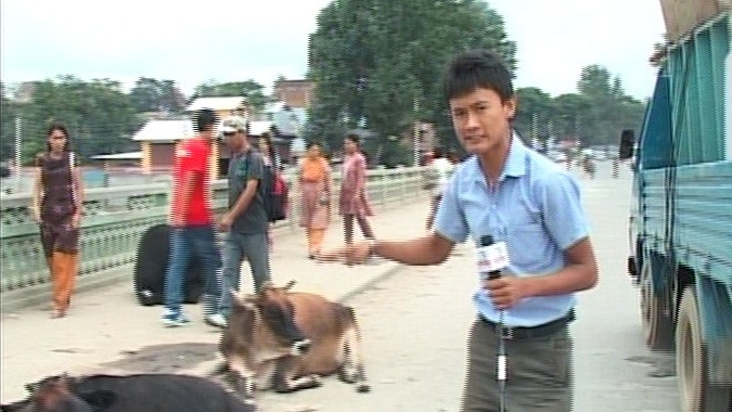 A man holding a microphone in a busy street, in the background are two cows sitting on a road.