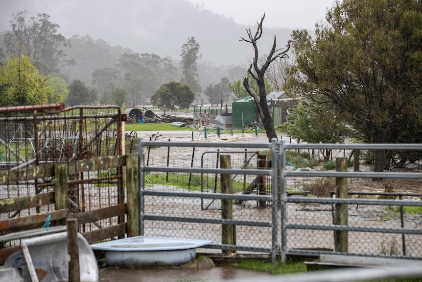 Floodwaters cover a farm. 